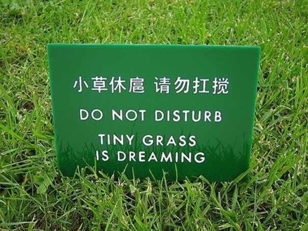 Chinese translation fails 7