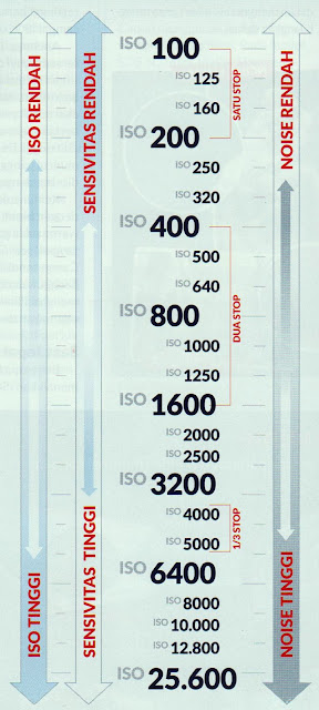 Memahami Skala ISO Memahami Skala ISO