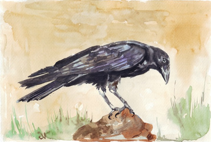 Myths and Magic......: The Crow in World Mythology part1