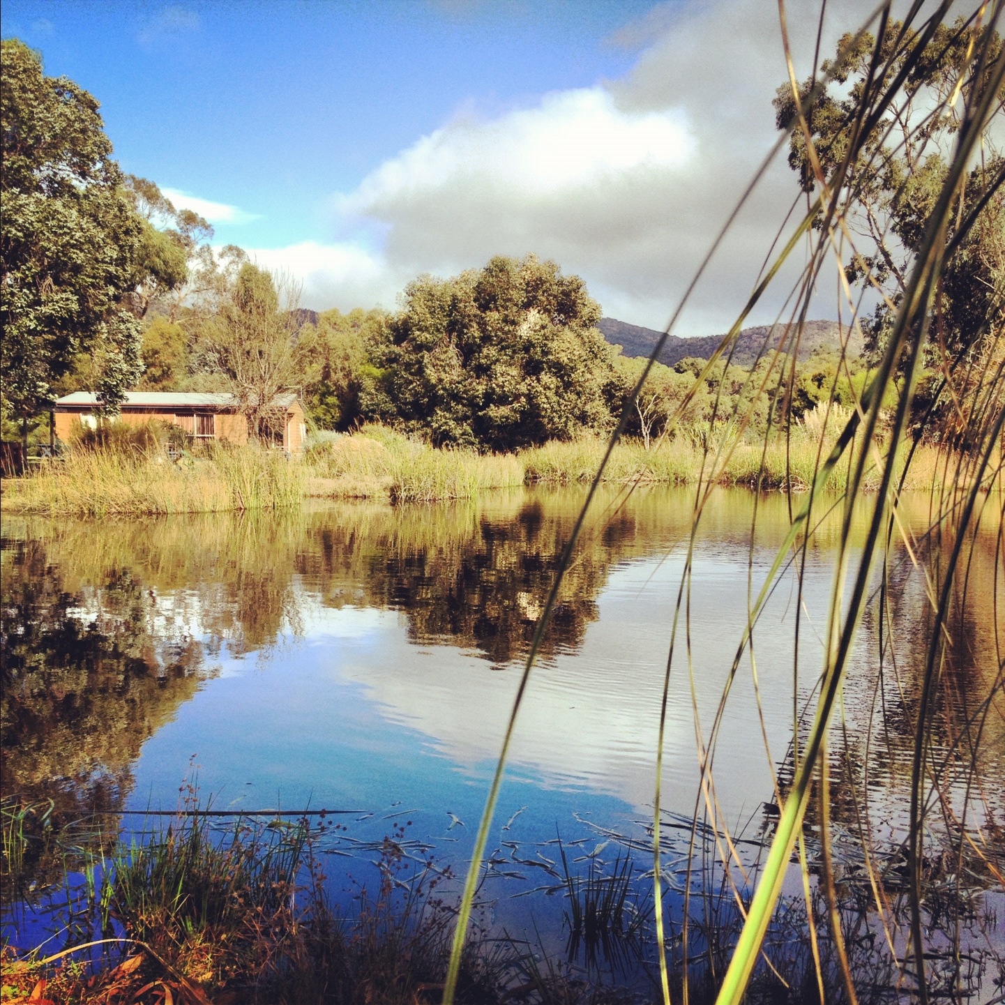 Where To Stay In Halls Gap? iPhoneography Oz Australia iPhone