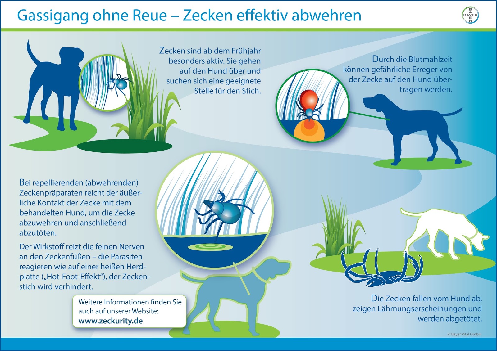 GASSIREPORT Hundeblog Wigald Boning, Bayer, Japanischer Garten und