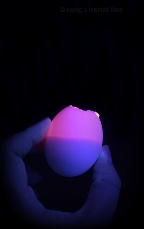How to make GLOWING paint filled eggs- Just imagine setting the kids loose to toss glowing paint filled eggs on a hot Summers night. I mean, that's an epic play time right there! How to make GLOWING paint filled eggs- Just imagine setting the kids loose to toss glowing paint filled eggs on a hot Summers night. I mean, that's an epic play time right there!