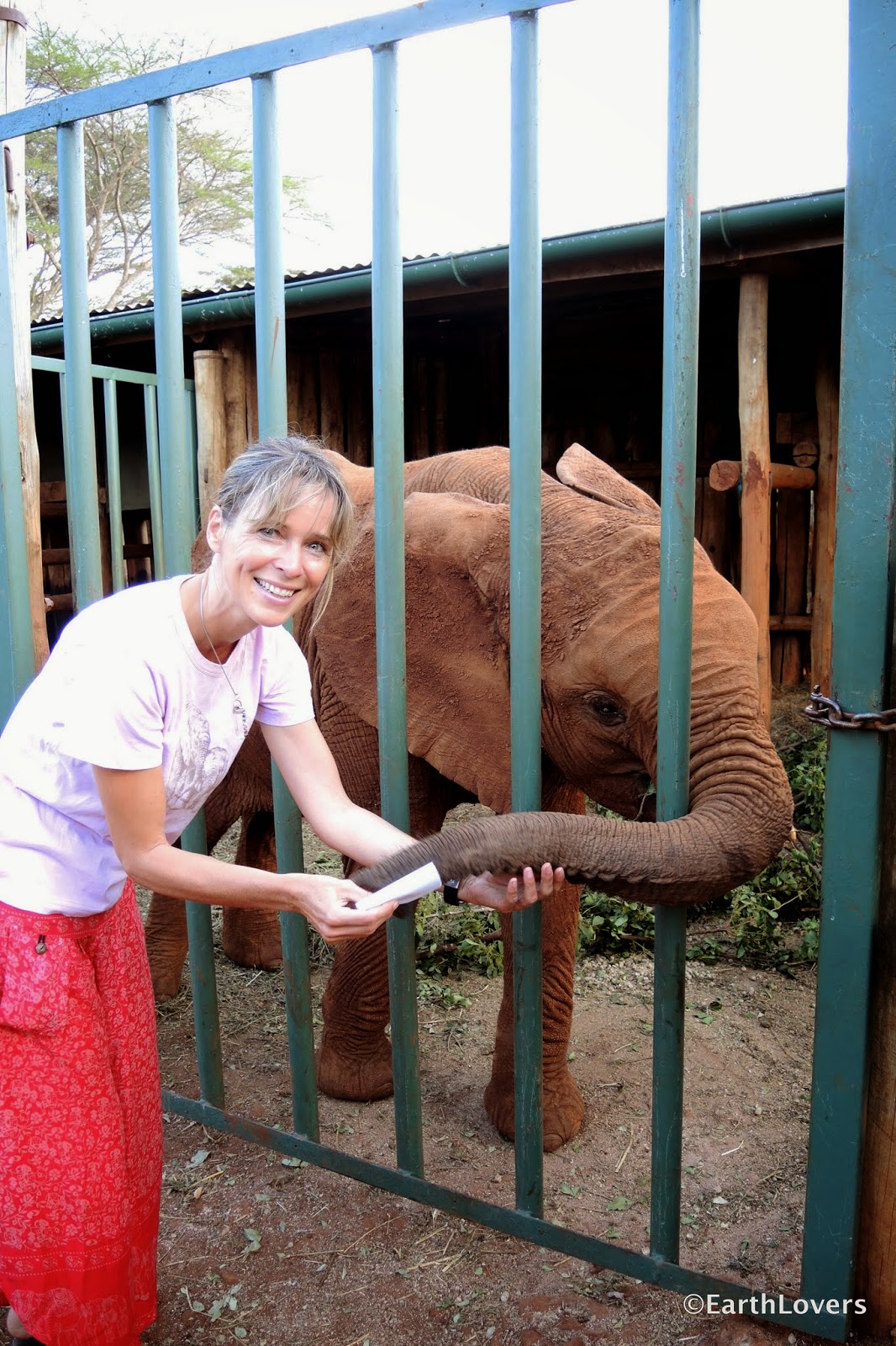 EarthLoversOnTour: DSWT: World's Most Successful Elephant Orphanage