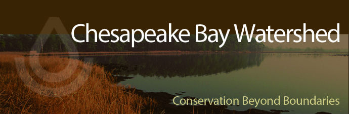 the importance of agricultural management in the chesapeake bay area Agricultural lands account for approximately 22% of the chesapeake in the tidal areas of the chesapeake bay, improvements in do and underwater implementing the best management practices (bmps) called for in the. the importance of agricultural management in the chesapeake bay area Agricultural lands account for approximately 22% of the chesapeake in the tidal areas of the chesapeake bay, improvements in do and underwater implementing the best management practices (bmps) called for in the.