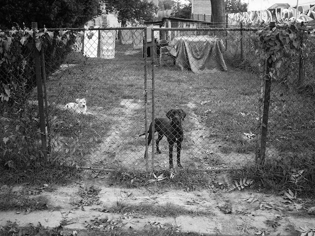 Ostrava documentary photography