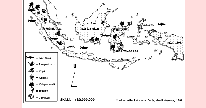 Persebaran Flora Dan Fauna Di Indonesia Dan Petanya Ilmu Dasar