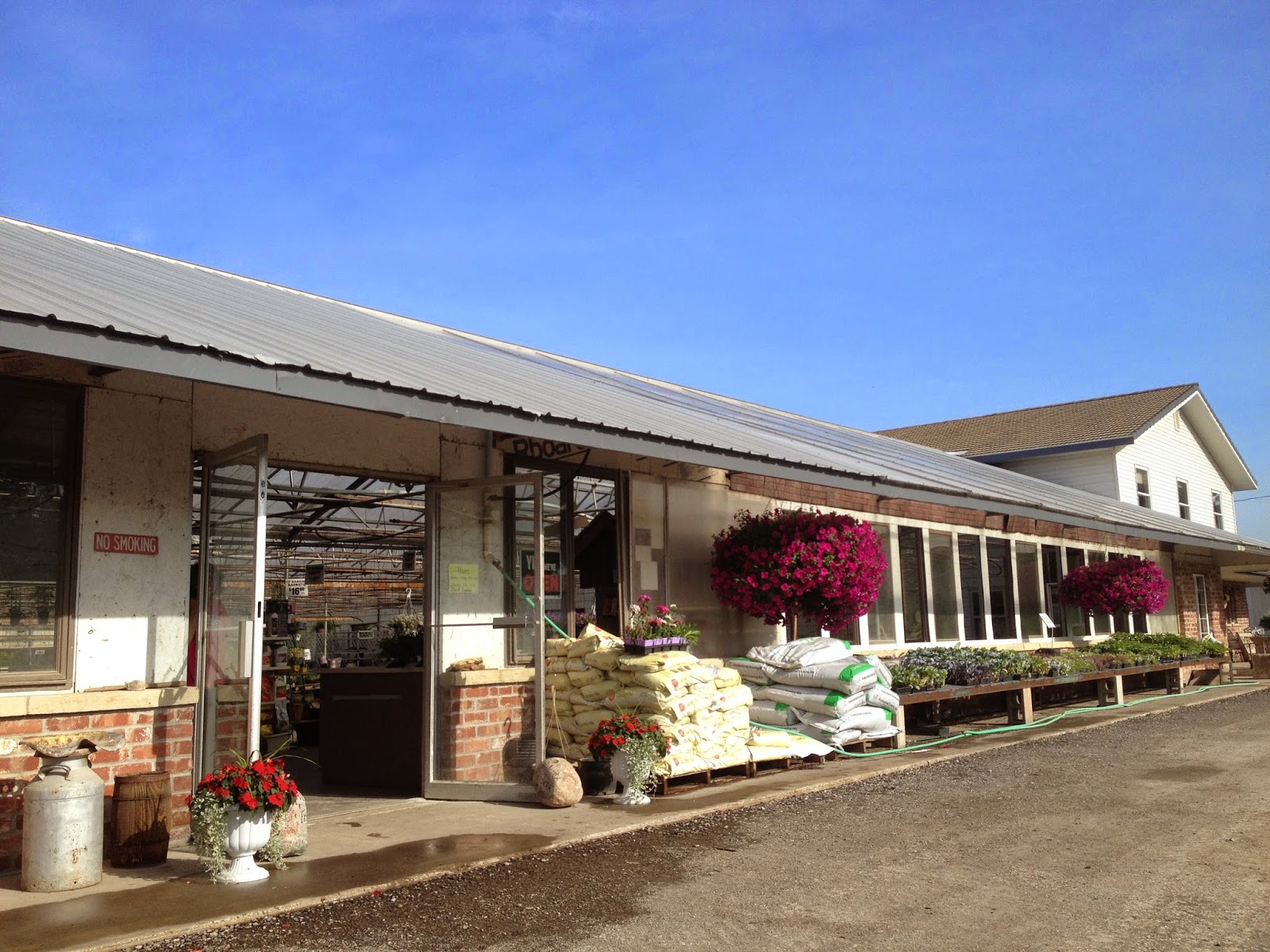 Amish Horses: Amish Greenhouse