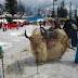 Attractions of Manali Tour Packages