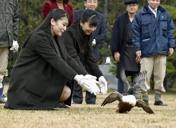 The Imperial Household Agency currently has got two Imperial Wild Duck Preserves, the Saitama Imperial Wild Duck Preserve