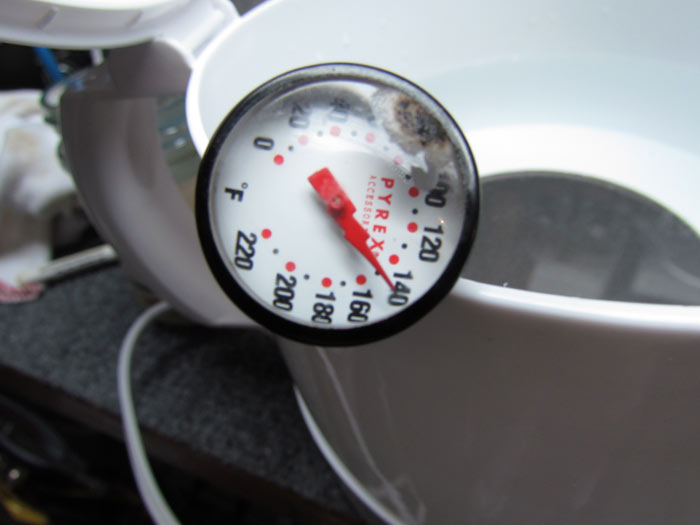 Mixing Hide Glue For Guitar Repair Crawls Backward (When Alarmed)