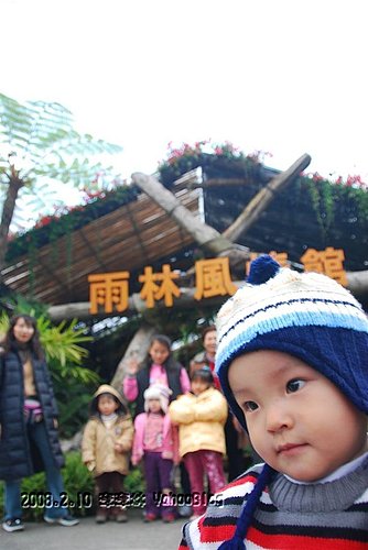 台一生態休閒農場|楓樺台一渡假村