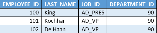 Employee last name. Employee last name