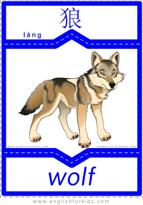 Wolf - English-Chinese flashcards for wild animals topic