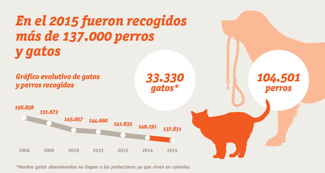 España: Más de 137.000 abandonos de animales, un 10% sacrificados