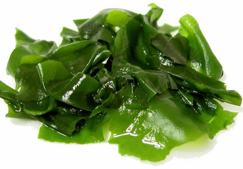 Las algas Kelp sirven para eliminar toxinas