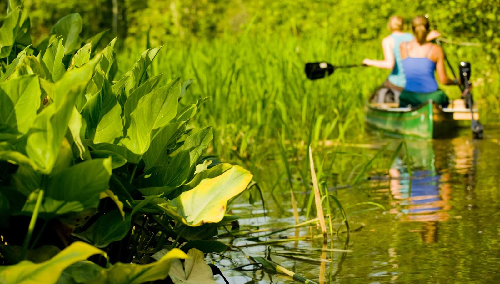 Prodi Teknik Lingkungan Di Ptn Paling Diminati Dan Kompetitif Update 2020