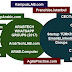 OUR NETWORK