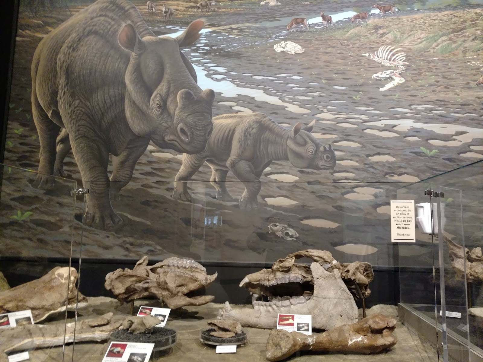 Dave'n'Kathy's Vagabond Blog Visiting John Day Fossil Beds