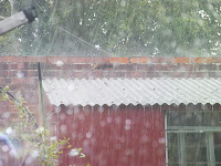 downpour in back garden