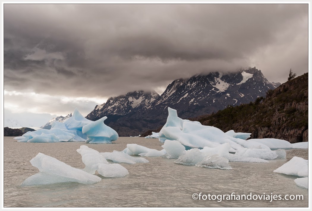 Icebergs en la orilla del lago Grey