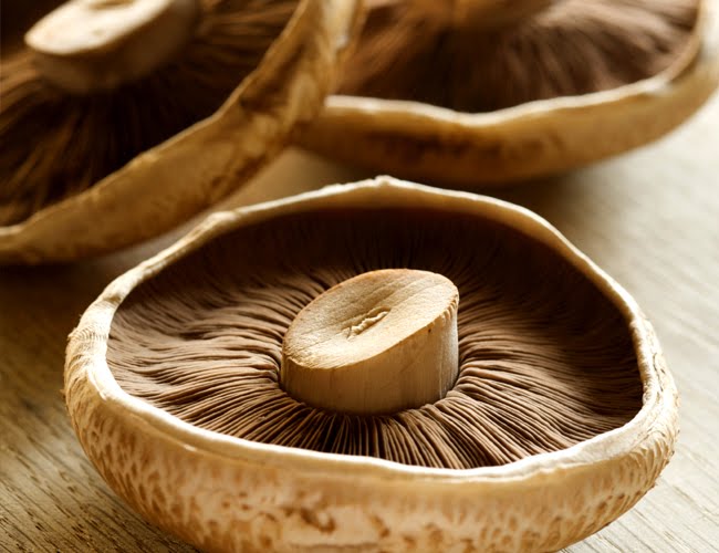Portobello ~ Gran País