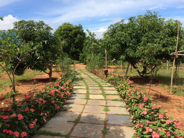 Sivananda Ashram Madurai Gardens