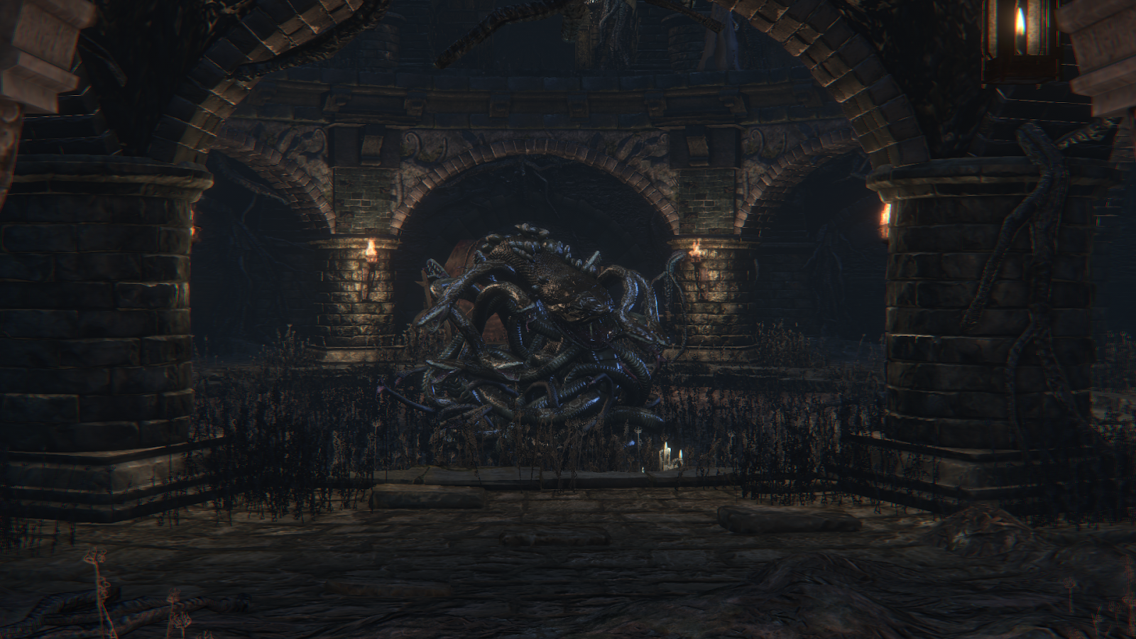 Exploring Test Chalice Dungeons Bloodborne Wiki