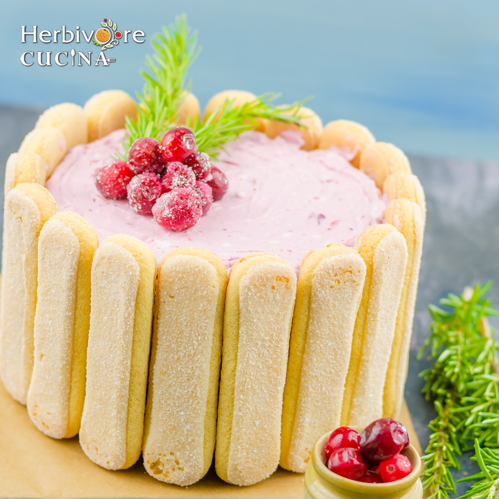 Herbivore Cucina Chocolate Cranberry Cake