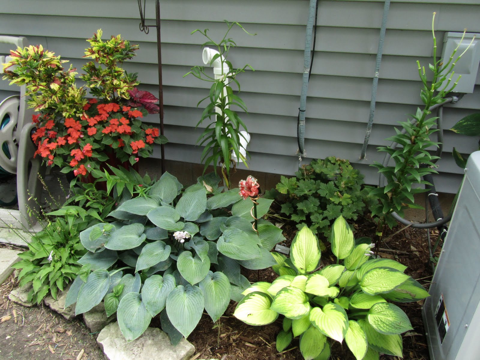Cheesehead Gardening: Using containers to brighten up shady spots