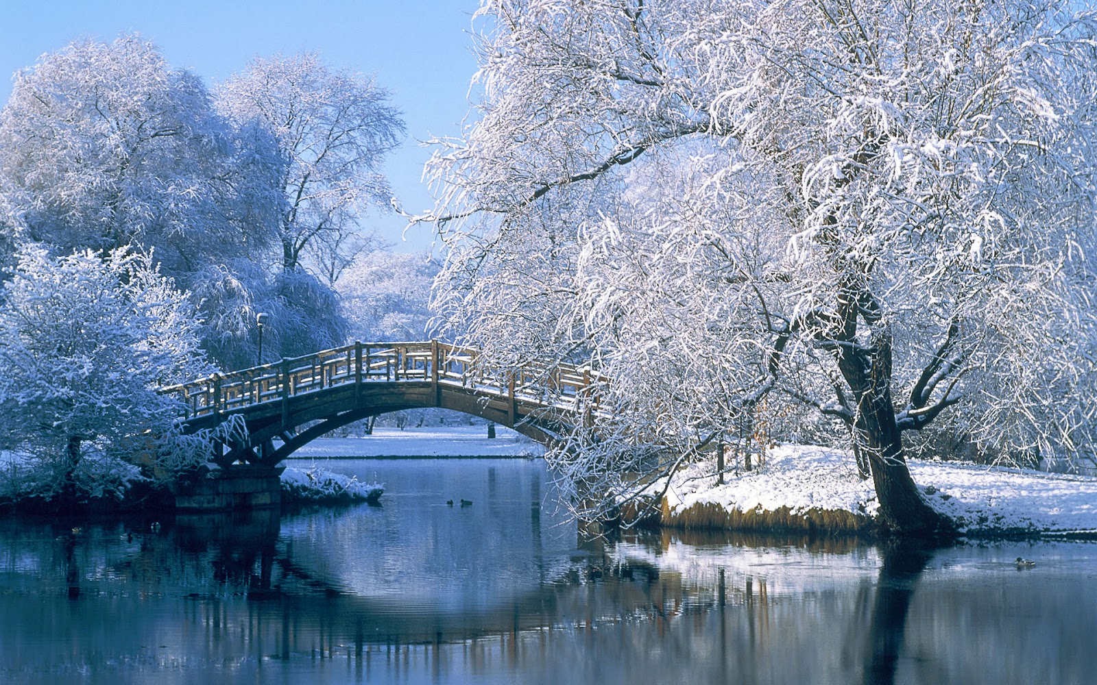 Wallpaper Mansion: Winter Landscape Wallpaper