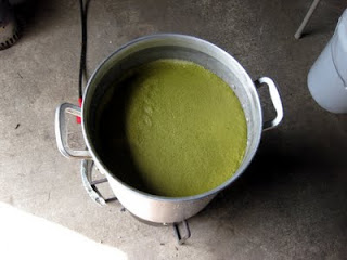 First wort hops waiting for the boil.