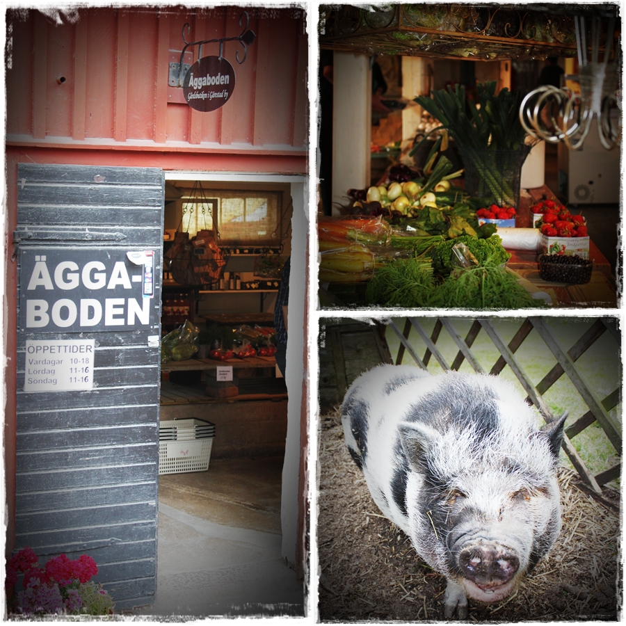 Änglar och dammråttor Äggaboden & Otto Glass