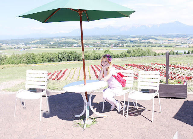 Panoramic Flower Gardens furano biei