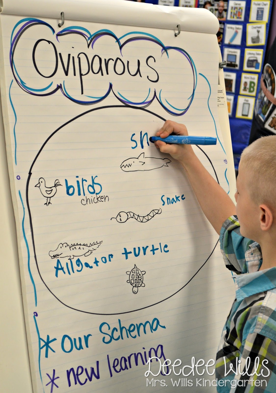oviparous animals lesson plans