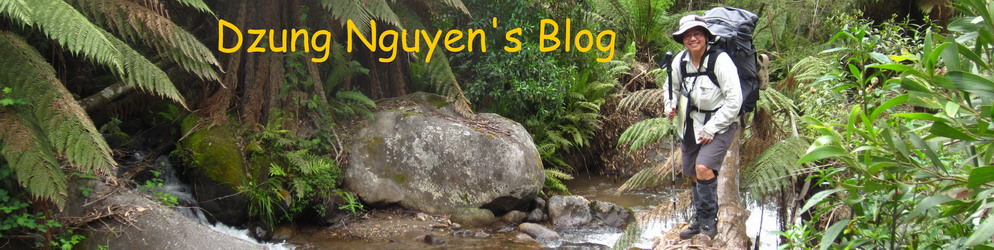 Dzung Nguyen's Blog