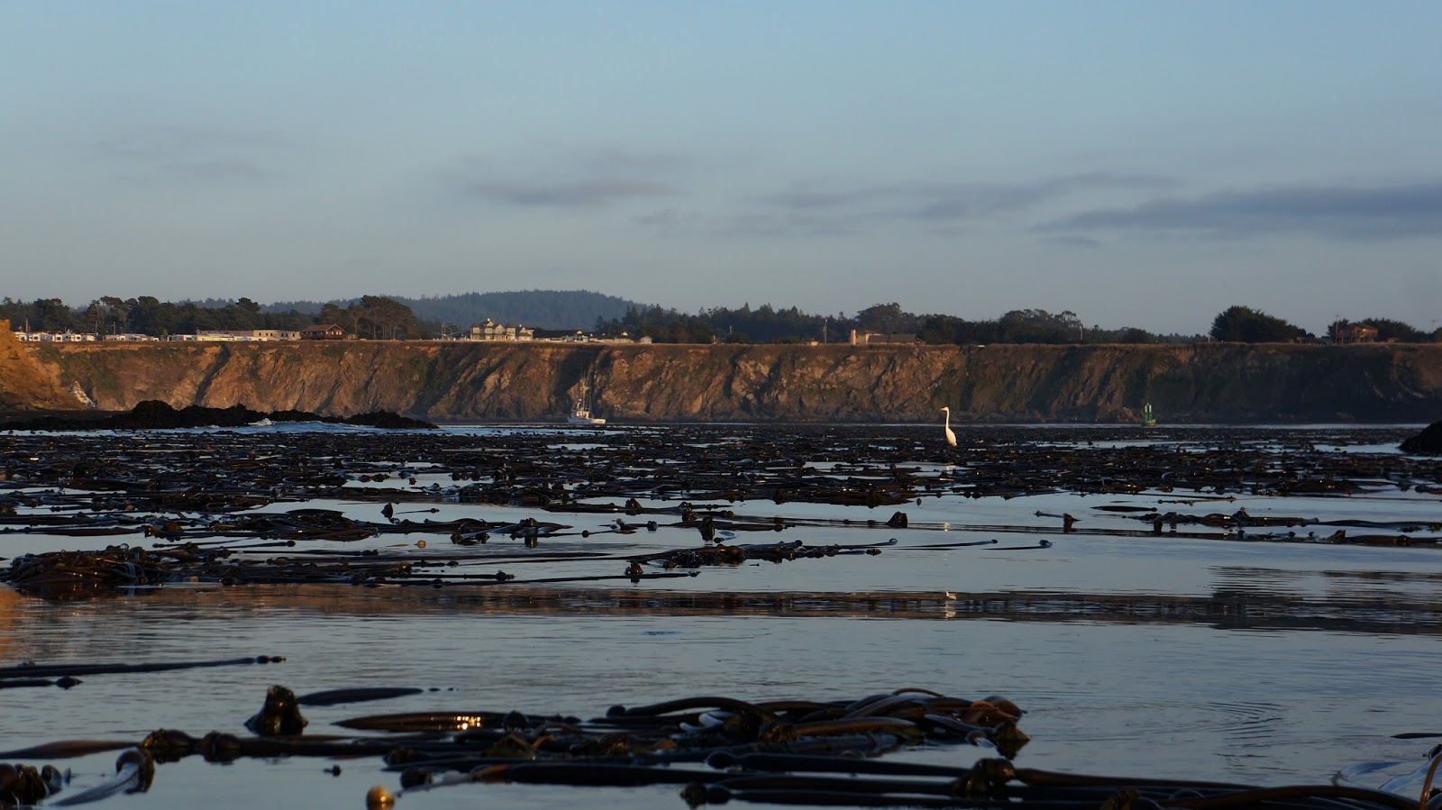 FREE Sex Dating in Fort Bragg California