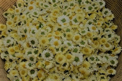 chrysanthemum-arom-Flos-Chrysanthemi.jpg_640x640.jpg%2B3.jpg