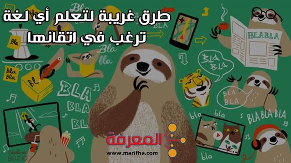 تعلم اللغات : كيف تتعلم لغة أجنبية باتباع عدد من 