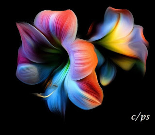 Blumen, flores, Flower, fleurs, květiny, Flores, blomme Blumen, flores, Flower, fleurs, květiny, Flores, blomme, blommor, çiçekler, kwiaty, Flor, Hoa, nở hoa, floración, bloom, Kukka, kukinta, La floraison, Fiore