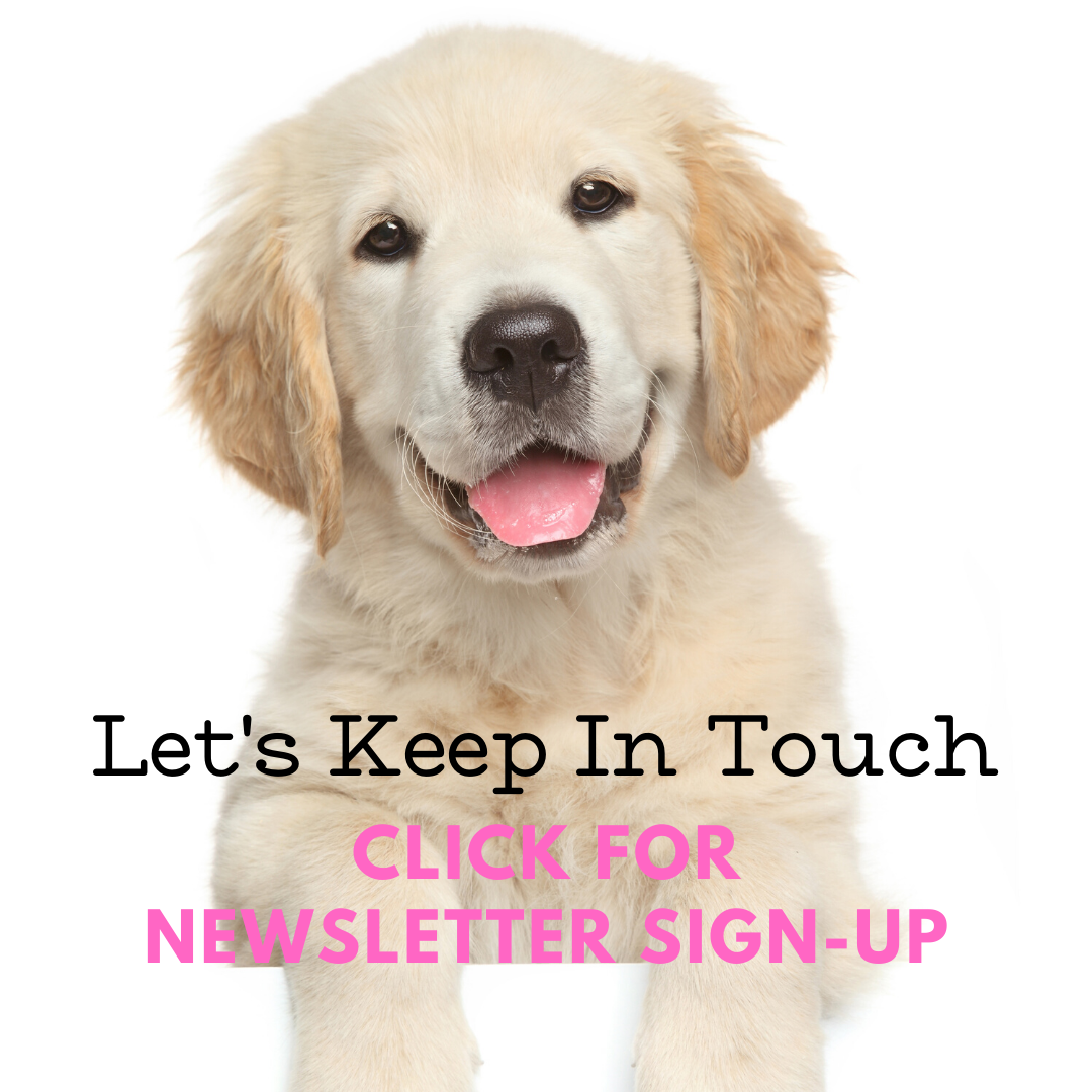 Newsletter Sign-Up