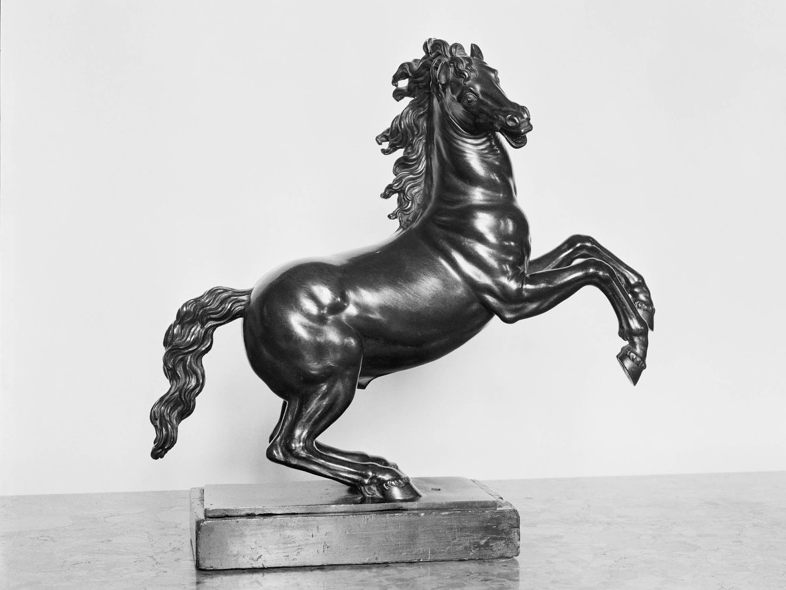 конь буцефал