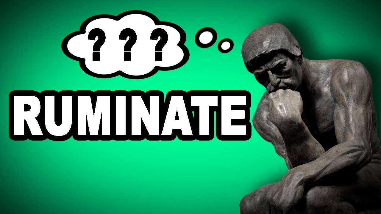 EXAMS AND ME Ruminate and Ruminant