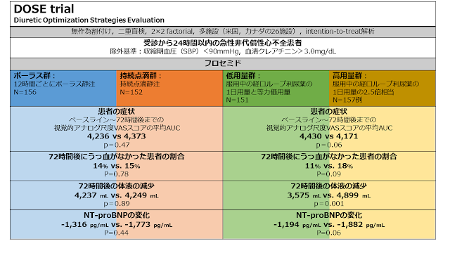 生合成フロセミドのリーフレット