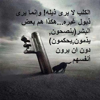صور عن الحياة صور عن الحياة