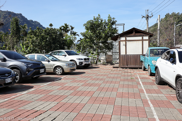 新社梅花隧道、小木屋鮭魚葡萄、梅花森林,台中賞梅花好去處 新社梅花隧道、小木屋鮭魚葡萄、梅花森林,台中賞梅花好去處