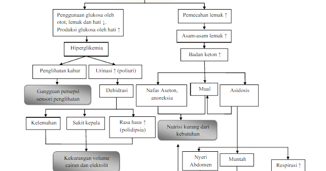 Laporan Pendahuluan / Lp Ketoasidosis Diabetikum (Kad