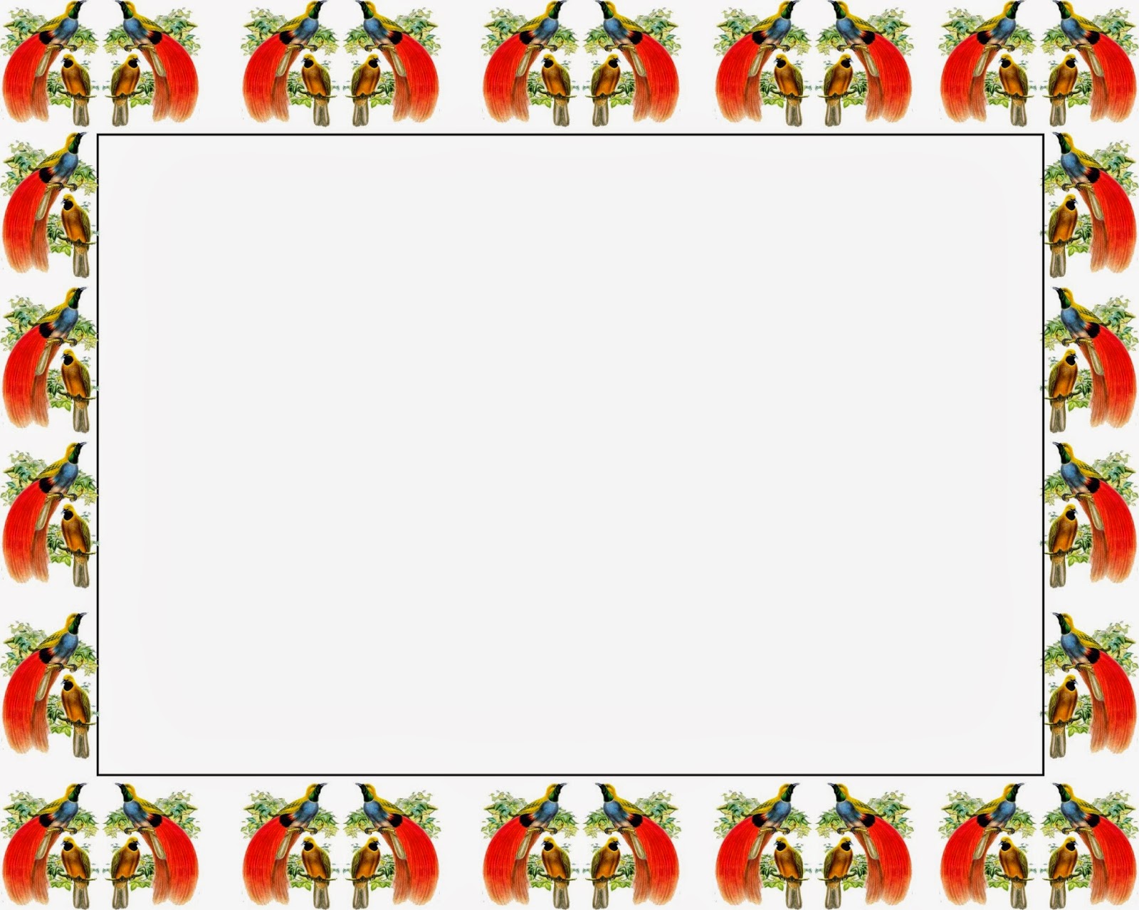 SINGKAT,duniaku,HIDUPKU : Bingkai Motif Papua.