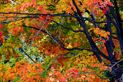 turismo-in-canada-l-estate-indiana