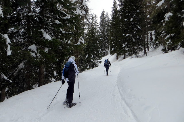 percorsi ciaspole dolomiti bellunesi