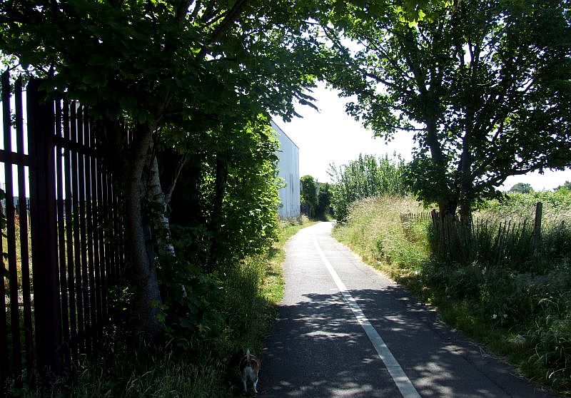 Trackbed/Cyclepath at top of triangle 201